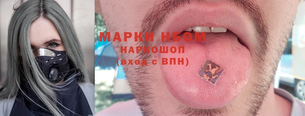 индика Алзамай