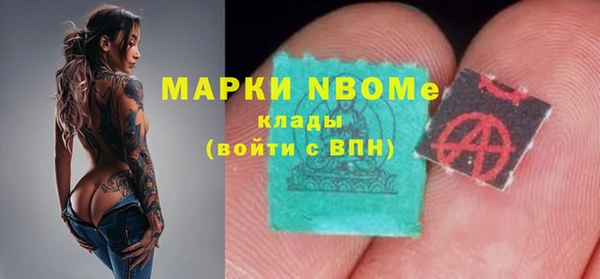 индика Алзамай