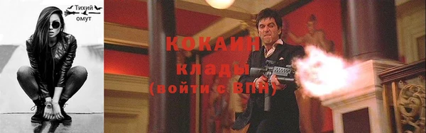 индика Алзамай