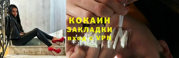 индика Алзамай