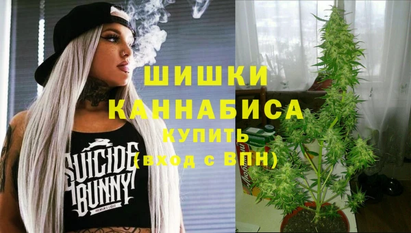 индика Алзамай