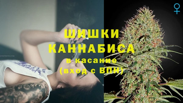 индика Алзамай