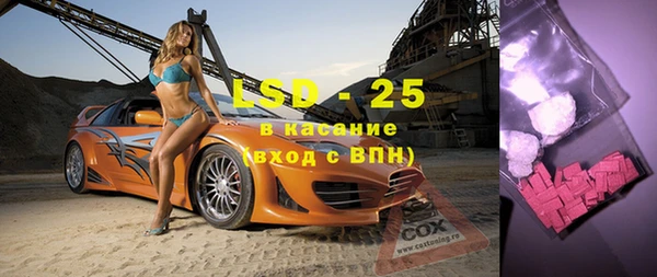 индика Алзамай