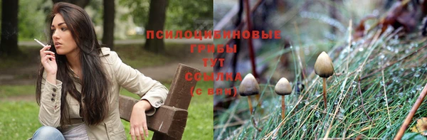 a pvp Алексин