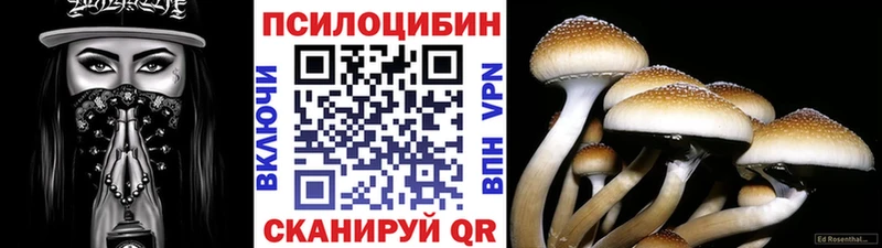 Псилоцибиновые грибы мицелий  Кувшиново 